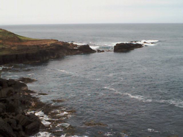Looking East towards "The Nugget" from Slope Point.